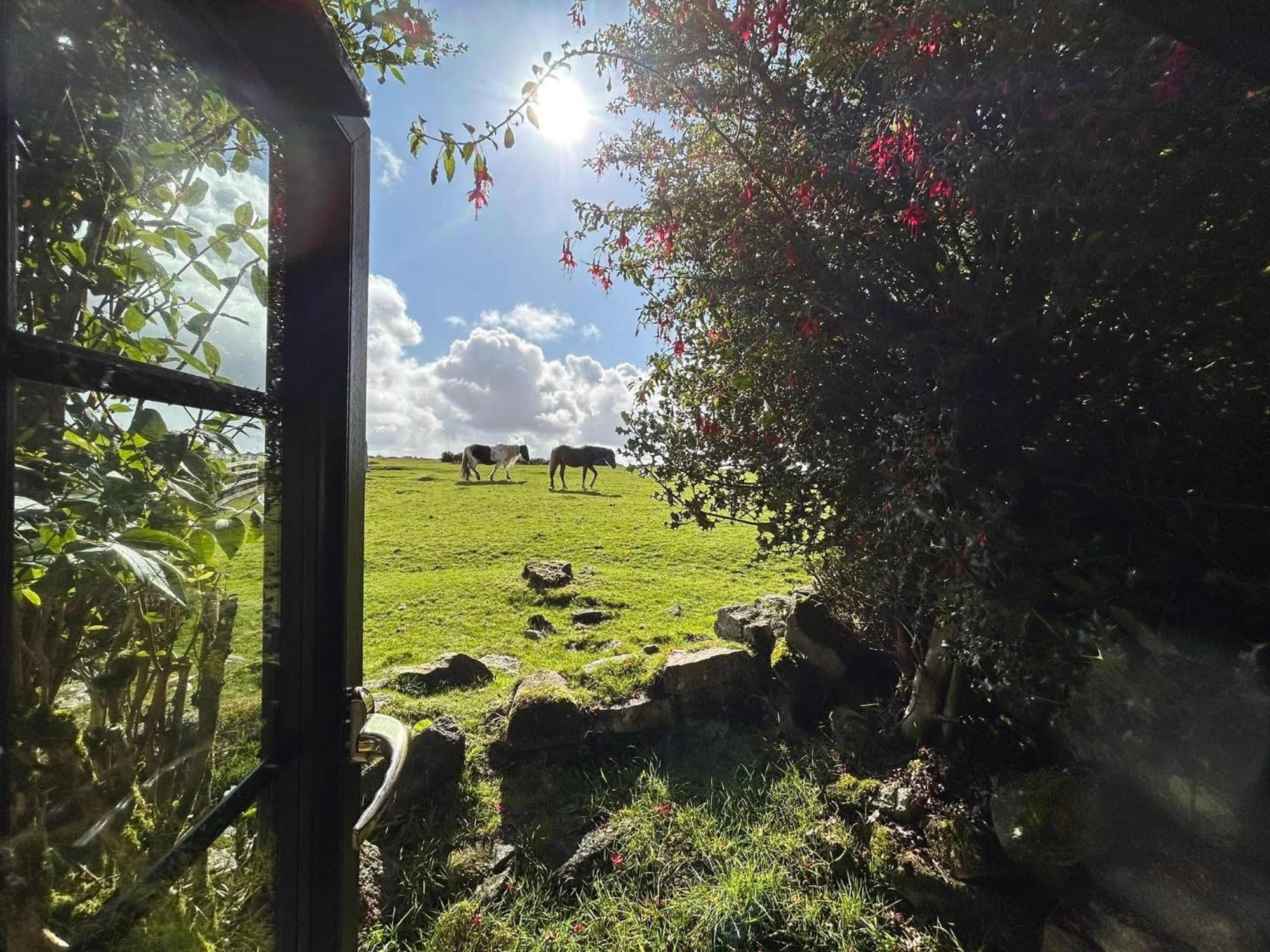 Hallagenna Cottages Bodmin Exteriör bild